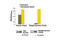 Baculoviral IAP Repeat Containing 5 antibody, 7193S, Cell Signaling Technology, Enzyme Linked Immunosorbent Assay image 