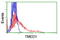 Transmembrane P24 Trafficking Protein 1 antibody, TA503659, Origene, Flow Cytometry image 