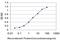 HIC ZBTB Transcriptional Repressor 1 antibody, H00003090-M01, Novus Biologicals, Enzyme Linked Immunosorbent Assay image 