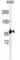 TELO2 Interacting Protein 1 antibody, abx032364, Abbexa, Western Blot image 