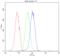 BGP antibody, PB9920, Boster Biological Technology, Flow Cytometry image 