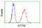 ATP Synthase F1 Subunit Beta antibody, LS-C114906, Lifespan Biosciences, Flow Cytometry image 