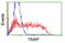 TRAF-interacting protein antibody, TA800086, Origene, Flow Cytometry image 
