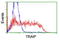 TRAF Interacting Protein antibody, TA800086, Origene, Flow Cytometry image 