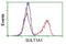 Sulfotransferase 1A1 antibody, NBP2-03227, Novus Biologicals, Flow Cytometry image 