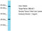 Metallo-Beta-Lactamase Domain Containing 1 antibody, TA337427, Origene, Western Blot image 