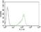 Nucleoli Marker antibody, orb248680, Biorbyt, Flow Cytometry image 