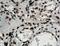 Nuclear Transport Factor 2 antibody, 66063-1-Ig, Proteintech Group, Immunohistochemistry paraffin image 