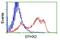 Epoxide Hydrolase 2 antibody, GTX84567, GeneTex, Flow Cytometry image 