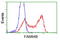 LRAT Domain Containing 2 antibody, LS-C115765, Lifespan Biosciences, Flow Cytometry image 