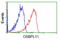 Oxysterol Binding Protein Like 11 antibody, GTX83960, GeneTex, Flow Cytometry image 