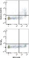 C-Type Lectin Domain Containing 7A antibody, FAB17561A, R&D Systems, Flow Cytometry image 