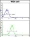 Arylacetamide Deacetylase antibody, PA5-72471, Invitrogen Antibodies, Flow Cytometry image 