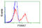 Proteasome Subunit Alpha 7 antibody, LS-C114780, Lifespan Biosciences, Flow Cytometry image 