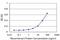 Ras Homolog Family Member A antibody, H00000387-M02, Novus Biologicals, Enzyme Linked Immunosorbent Assay image 