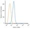 8-Oxoguanine DNA Glycosylase antibody, NBP2-52724, Novus Biologicals, Flow Cytometry image 