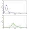 Transferrin Receptor antibody, F48348-0.4ML, NSJ Bioreagents, Western Blot image 