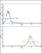 Malate Dehydrogenase 2 antibody, PA5-35308, Invitrogen Antibodies, Flow Cytometry image 