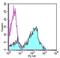 CD5 Molecule antibody, 11-0059-42, Invitrogen Antibodies, Flow Cytometry image 