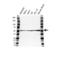 Tubulin Beta 4B Class IVb antibody, VPA00445, Bio-Rad (formerly AbD Serotec) , Western Blot image 