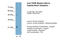 Thyroid Stimulating Hormone Receptor antibody, 29-656, ProSci, Western Blot image 