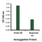 Influenza A H5N1 Hemagglutinin antibody, LS-C19491, Lifespan Biosciences, Enzyme Linked Immunosorbent Assay image 