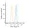 8-Oxoguanine DNA Glycosylase antibody, NB100-106C, Novus Biologicals, Flow Cytometry image 