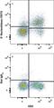 5'-Nucleotidase Ecto antibody, FAB4488F, R&D Systems, Flow Cytometry image 