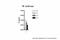 Thyroid Hormone Receptor Beta antibody, ARP36995_P050, Aviva Systems Biology, Chromatin Immunoprecipitation image 