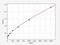 C-X-C Motif Chemokine Receptor 1 antibody, EH0705, FineTest, Enzyme Linked Immunosorbent Assay image 