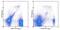 Bone Marrow Stromal Cell Antigen 2 antibody, 12-3171-81, Invitrogen Antibodies, Flow Cytometry image 