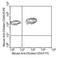 CD45 antibody, NBP1-28296, Novus Biologicals, Flow Cytometry image 