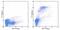 Lymphocyte antigen 6G antibody, 53-5931-82, Invitrogen Antibodies, Flow Cytometry image 