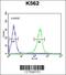 WD Repeat Domain 49 antibody, 55-482, ProSci, Flow Cytometry image 