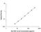 C-X-C Motif Chemokine Ligand 3 antibody, RCN200, R&D Systems, Enzyme Linked Immunosorbent Assay image 