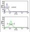 Phospholipid Phosphatase 2 antibody, PA5-12401, Invitrogen Antibodies, Flow Cytometry image 