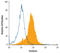 Insulin Degrading Enzyme antibody, MAB2496, R&D Systems, Flow Cytometry image 