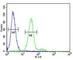 c-Kit antibody, F40159-0.4ML, NSJ Bioreagents, Western Blot image 