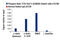 RNA Polymerase II Subunit A antibody, 13780S, Cell Signaling Technology, Chromatin Immunoprecipitation image 