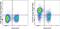 Signaling Lymphocytic Activation Molecule Family Member 1 antibody, 63-1502-82, Invitrogen Antibodies, Flow Cytometry image 