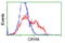 Crystallin Mu antibody, LS-B9468, Lifespan Biosciences, Flow Cytometry image 