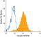 Integrin Subunit Beta 4 antibody, MAB4054, R&D Systems, Flow Cytometry image 