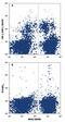 Hepatitis A virus cellular receptor 1 homolog antibody, FAB1817A, R&D Systems, Flow Cytometry image 