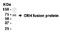 Corticotropin Releasing Hormone antibody, LS-C14596, Lifespan Biosciences, Western Blot image 