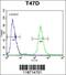 Fibrinogen Gamma Chain antibody, 62-825, ProSci, Flow Cytometry image 