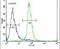 Zinc Finger Protein 324B antibody, PA5-24105, Invitrogen Antibodies, Flow Cytometry image 