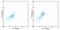 Interleukin 15 Receptor Subunit Alpha antibody, 12-7159-42, Invitrogen Antibodies, Flow Cytometry image 