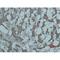 SMAD Family Member 3 antibody, LS-C387824, Lifespan Biosciences, Immunohistochemistry frozen image 