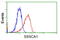 Zinc Ribbon Domain Containing 2 antibody, GTX83556, GeneTex, Flow Cytometry image 