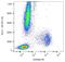 CMRF35-like molecule 2 antibody, NBP2-62230, Novus Biologicals, Flow Cytometry image 